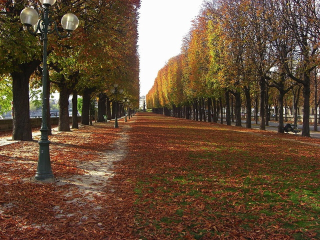 trip to paris in autumn